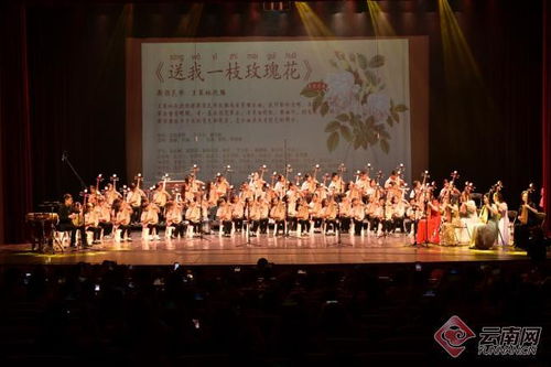 首屆 彩云 花韻 琵琶文化藝術周系列活動圓滿落幕